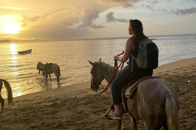 Sunset Beach Horseback Riding - Dinner on the Beach