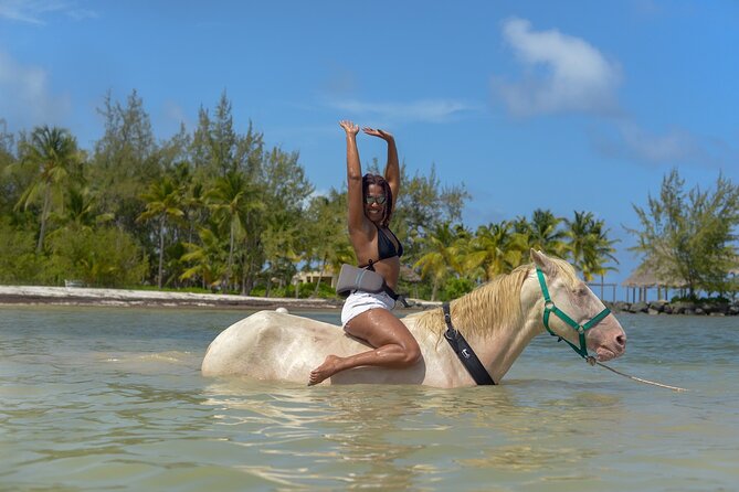 Swimming With Horses at the Beach From Punta Cana Free Transportation - Horseback Riding Adventure