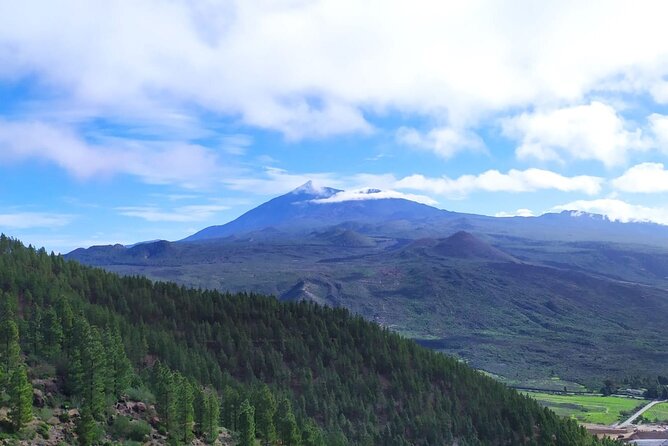 Tenerife: Hiking Through Enchanted Laurel Forest Above Masca - Hiking Through Laurel Forest