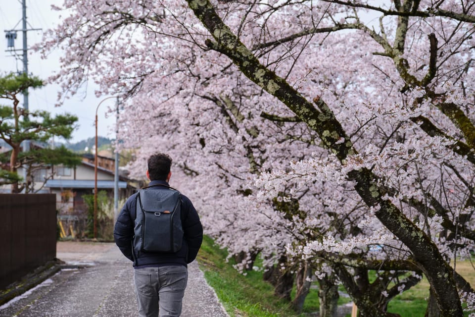 Timeless Takayama: A Walk Through History Review - Tranquility at Hida Gokoku Shrine