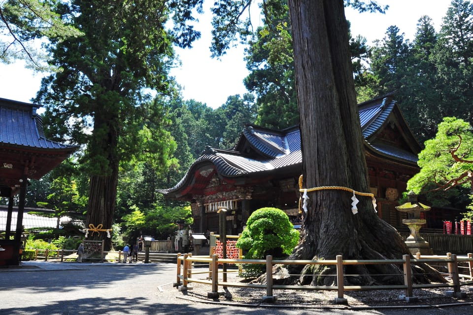 Tokyo: MT FUJI & HAKONE Private Sightseeing Tour - Oshino Hakkai