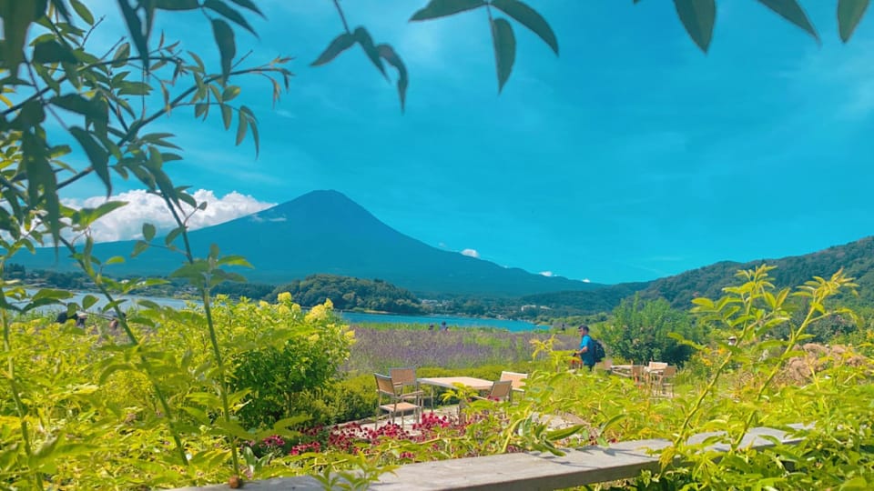 Tokyo: Private Day Trip to Mt. Fuji With Custom Itinerary - Flexible Itinerary Options