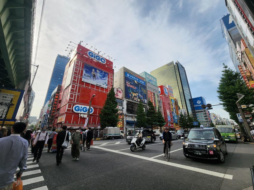 Tokyo: Tsukiji Market, Senso-ji Temple, and Akihabara Tour Review - Tsukiji Outer Market Experience