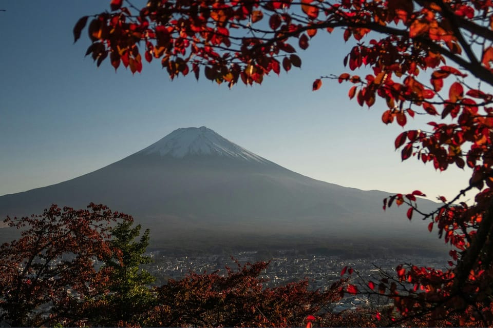 Tokyo:Superultimate Mt.Fuji Trip With English Speaking Guide - Included and Optional Services