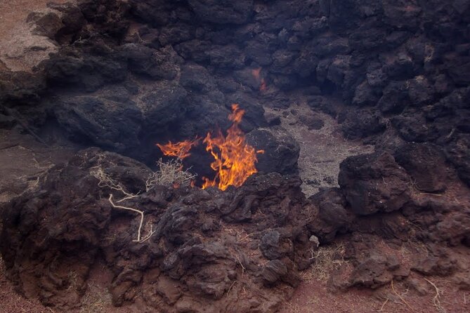 Tour to Timanfaya, La Geria and La Laguna Verde - Wine Tasting