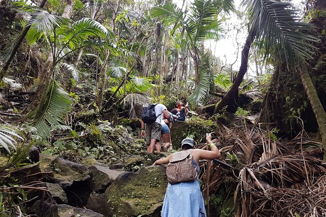 Trekking Mt. Liamuiga Volcano (Full-Day Guided ) - Volcano Trekking Experience