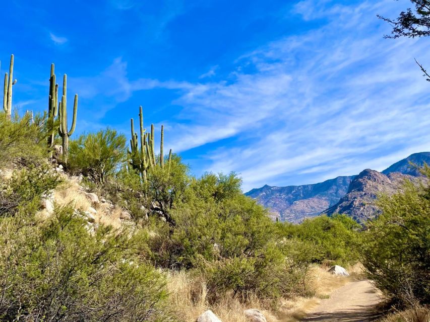 Tuscon: Rancho De Los Cerros Horseback Riding Tour - Tour Policies