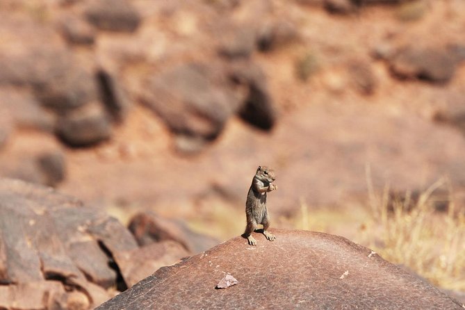 Two Days in the Zagora Desert, Drâa Valley From Marrakech - Itinerary and Activities