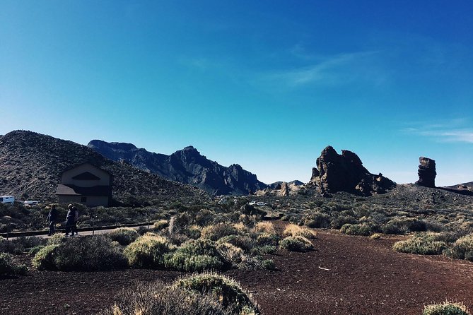 VOLCANO TEIDE NATIONAL PARK Half-Day in a Small Group by Bus - Booking and Confirmation