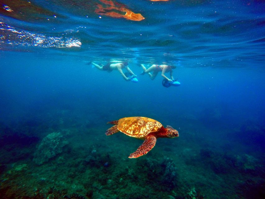 Wailea Beach: Guided Sea Scooter Snorkeling Tour - Guest Requirements