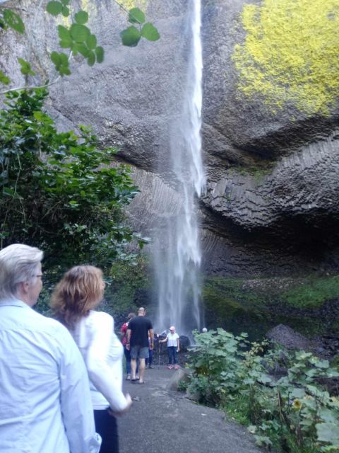 Waterfalls, Wine, and Timberline Tour - Cuisine and Libations