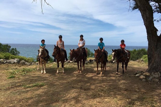 West Maui Mountain Waterfall and Ocean Tour via Horseback - Riding Through Mountains