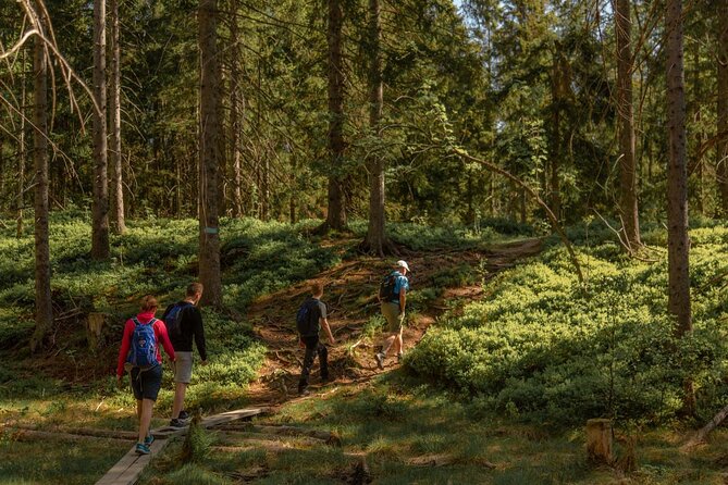 Wildlife Forest Hike - Meeting and Transportation