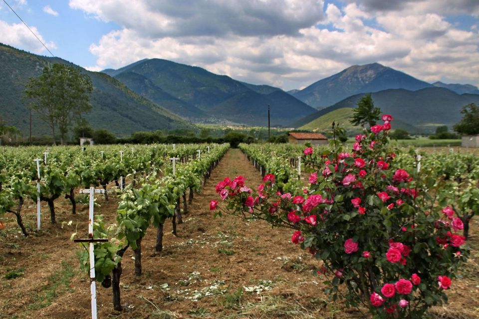 Wine Tour & Tasting in an Organic Winery in Arcadia, Greece - Cellar Tour