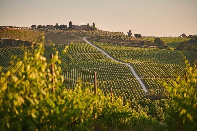 Wineries Tour and Wine Tastings in Chianti Hills From Florence - Visit Chianti Town