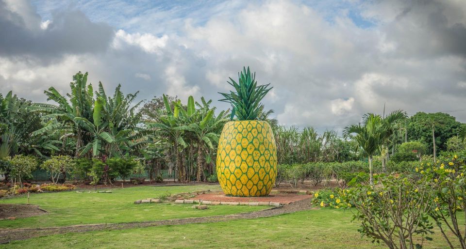 World Famous Dole Plantation & North Shore Island Tour! - Scenic Photography Opportunities