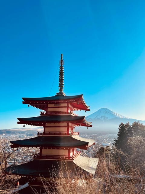 1-Day Mt Fuji Sightseeing Trip From Tokyo - Customer Reviews and Ratings