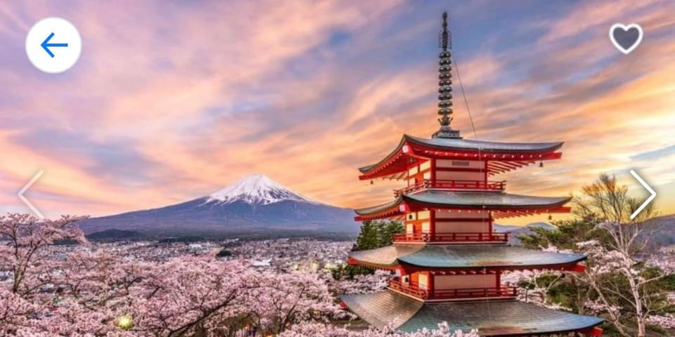 1 Day Mt Fuji Tour With Pick up and Drop off From Tokyo - Customization Options