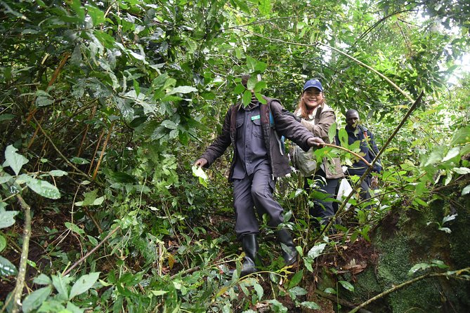 3-Day Gorilla Trekking Safari in Bwindi Impenetrable Forest - Booking and Confirmation