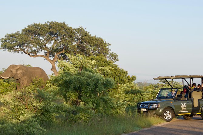 3-Day Kruger National Park Safari Including Breakfast and Dinner - Packing Recommendations