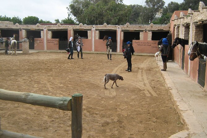 3 Hours Horse Riding in Essaouira, Beach, Forest and Dunes - Location and Meeting Point