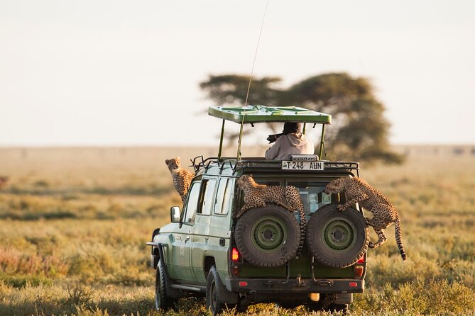 4 Days Experience Big Five in Tarangire, Serengeti & Ngorongoro Safari - Inclusions and Exclusions