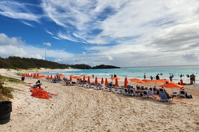 4 Hour Shared Pink Beach Excursion in Bermuda - Reviews and Ratings