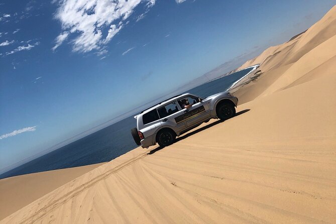 4 X 4 Guided Sandwich Harbour Tour - Encounters With Namibian Wildlife