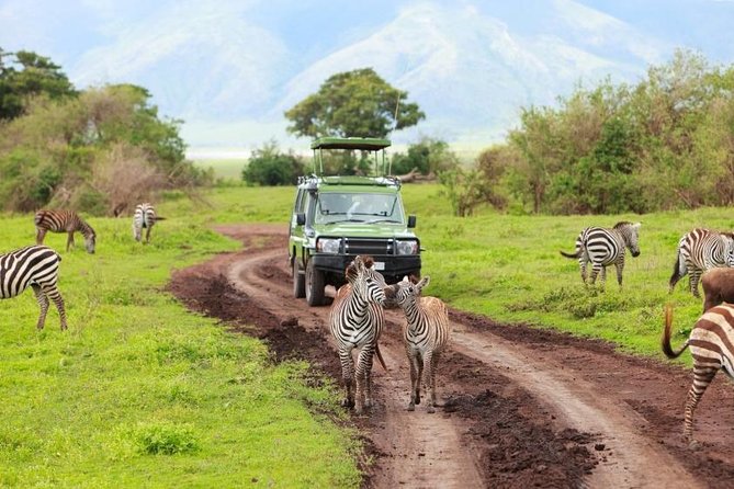 6 Day Tanzania Wildlife Mid Range Safari - Booking Policies and Cancellation