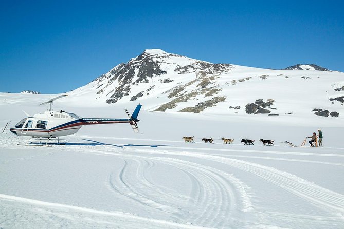 Alaska Helicopter and Glacier Dogsled Tour - ANCHORAGE AREA - Transportation Options