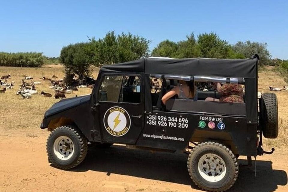 Albufeira Safari Tour With Entrance in Krazy World - Tour Duration and Group Size