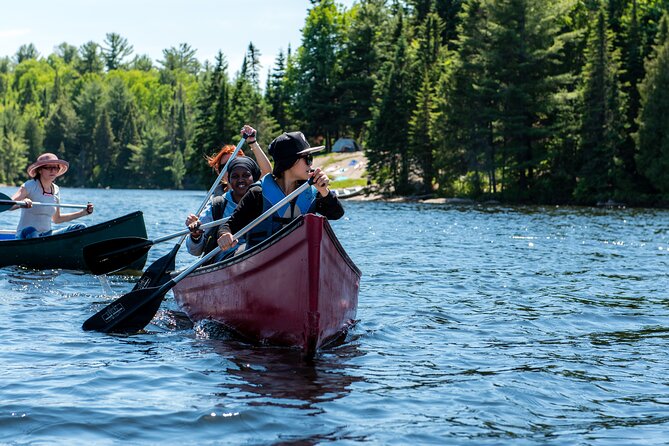 Algonquin Park Luxury 3-Day Camping & Canoeing: Moose/Beaver/Turtle Adventure - Comfortable Camping Experience