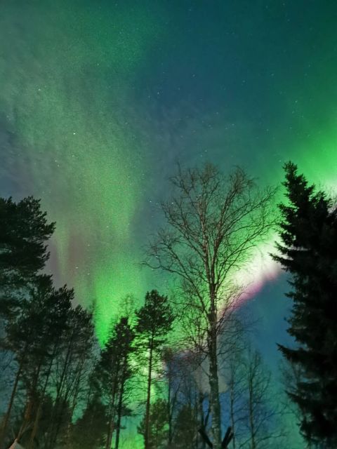 Amazing Aurora With BBQ in the Best Spot in Rovaniemi! - Frequently Asked Questions