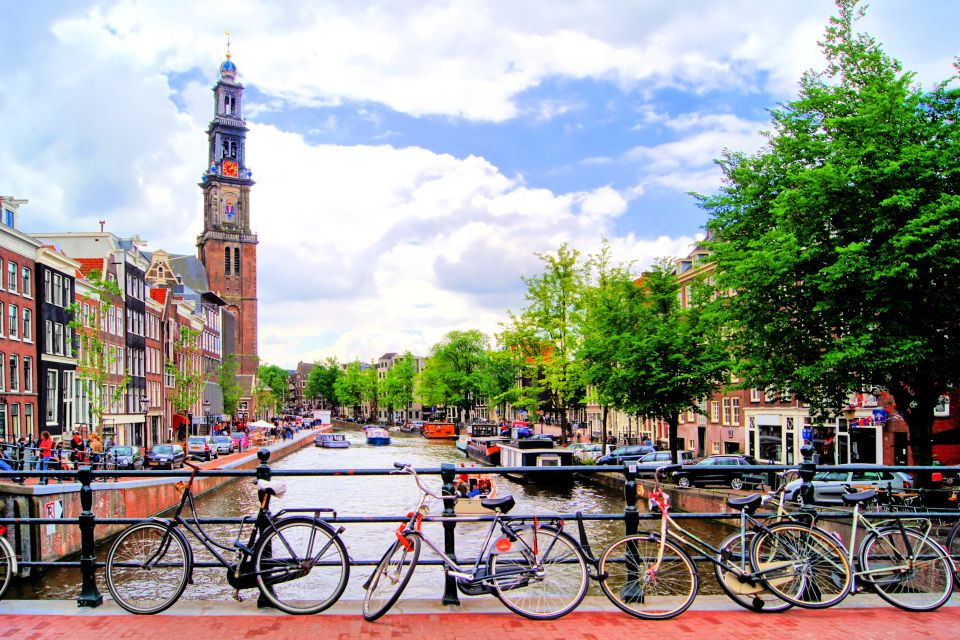 Amsterdam: 3-Hour Private Highlights City Tour by Minivan - Reservation Process