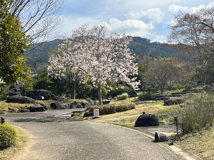 Asuka: Private Guided Tour of an Ancient Capital of Japan - Experiencing Japans Protohistoric Capital