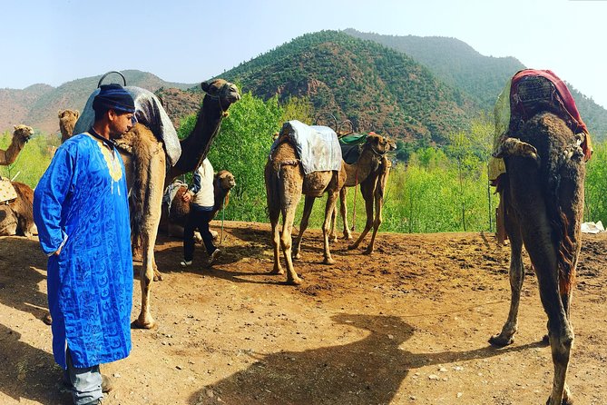 Atlas Mountains and Camel Ride Day Trip From Marrakech - Moroccan Lunch and Tea