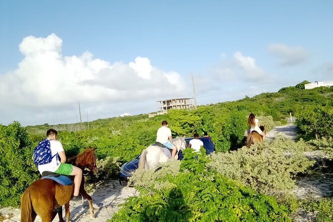 Beach Trail and Swim. Cockburn Town, Grand Turk, Turks and Caicos - Tour Reviews