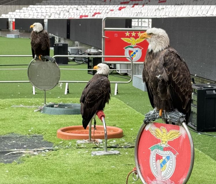 Benfica Stadium and Museum Tour - Tour Duration and Inclusions