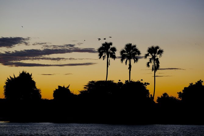 Birdwatching Cruise in Zambezi River With Breakfast - Zambezi River and Victoria Falls