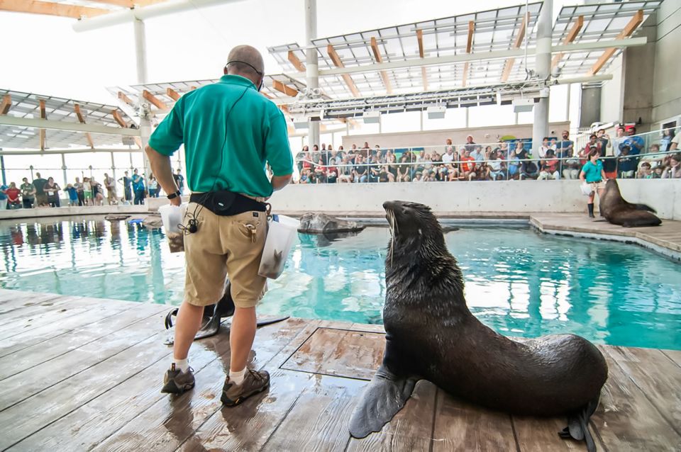 Boston: New England Aquarium Skip-the-Line Entry Ticket - Convenient Entry and Directions