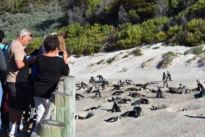 Cape of Good Hope and Penguins Full-Day Tour From Cape Town - Small-Group Guided Experience