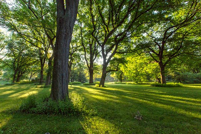 Central Park Walking Tour - Local Politics and Surrounding Area