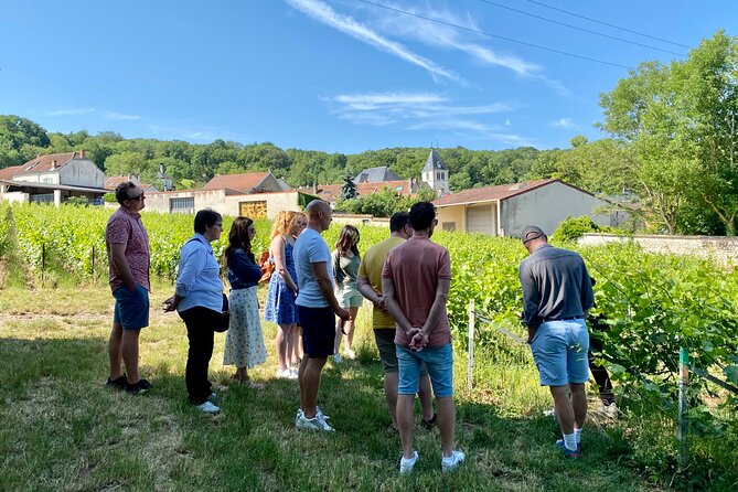 Champagne Cellars & Vineyards Tour From Reims Full Day - Meeting Points and Directions