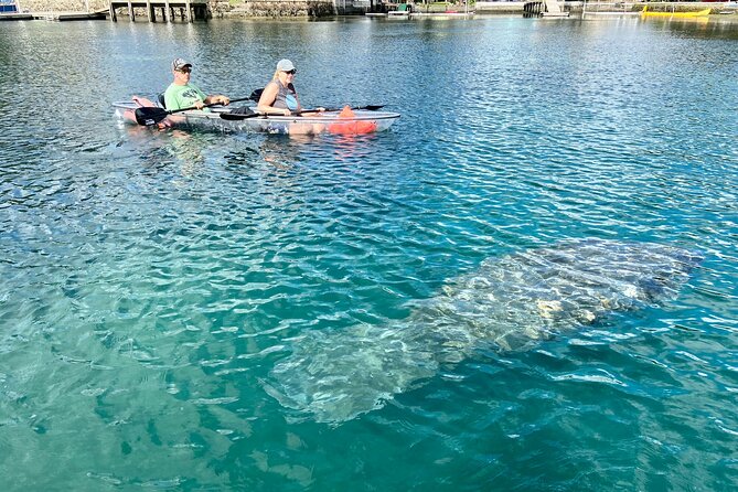 Clear Kayak Tour of Crystal River - Safety Measures and Weather Policy