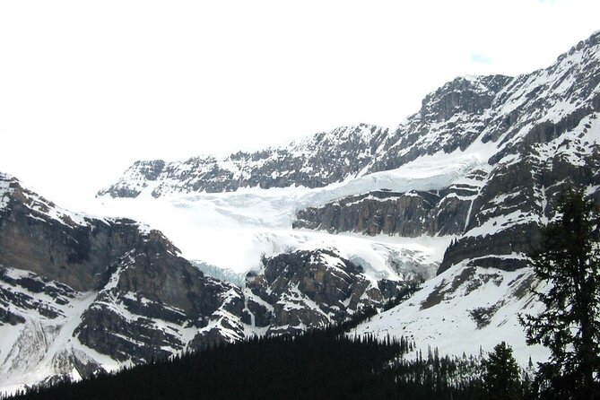 Columbia Icefield Adventure 1-Day Tour From Calgary or Banff - Customer Reviews