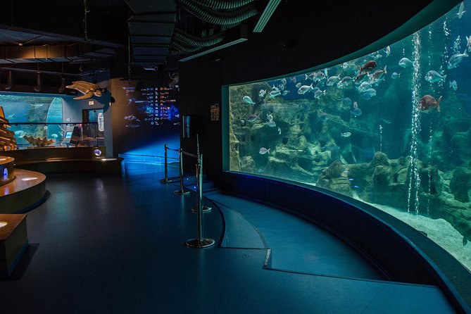 CRETAquarium Entrance Ticket in Crete - Optional Audio Guide Experience