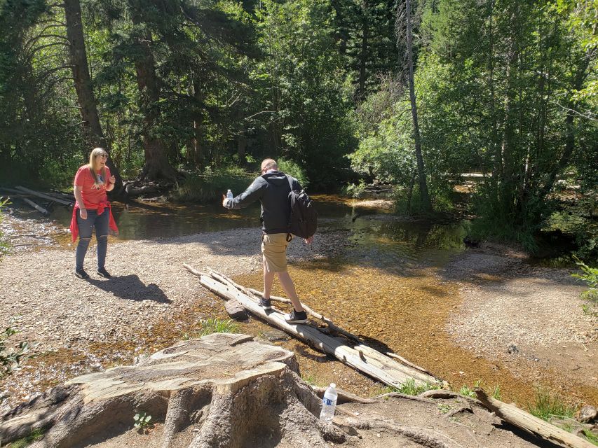 Denver: Rocky Mountain National Park Tour With Picnic Lunch - Pricing and Booking