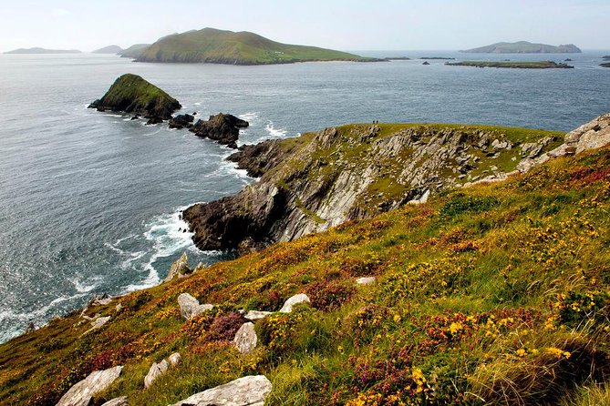 Dingle Peninsula Day Tour From Cork: Including the Wild Altanic Way - Explore Dingle Harbor Town