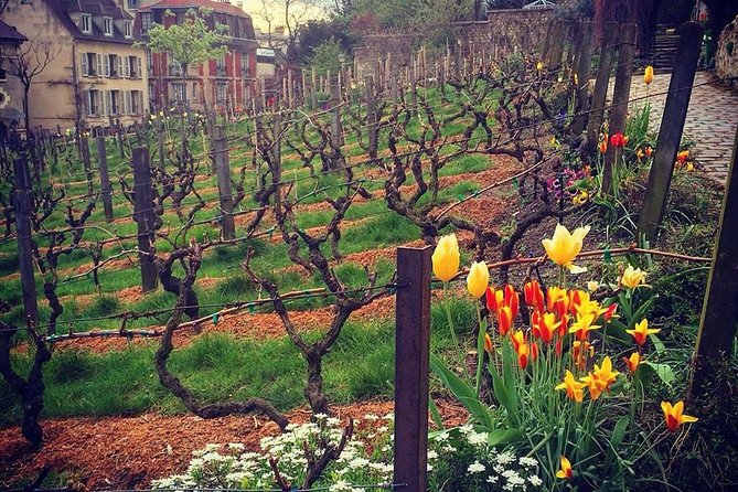 Discover Montmartre and Visit the Basilica of Sacré-Cœur - Recommended Fitness Level