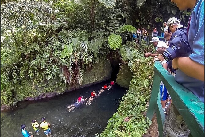 Dominica Chasing Waterfalls Experience - Customer Impressions